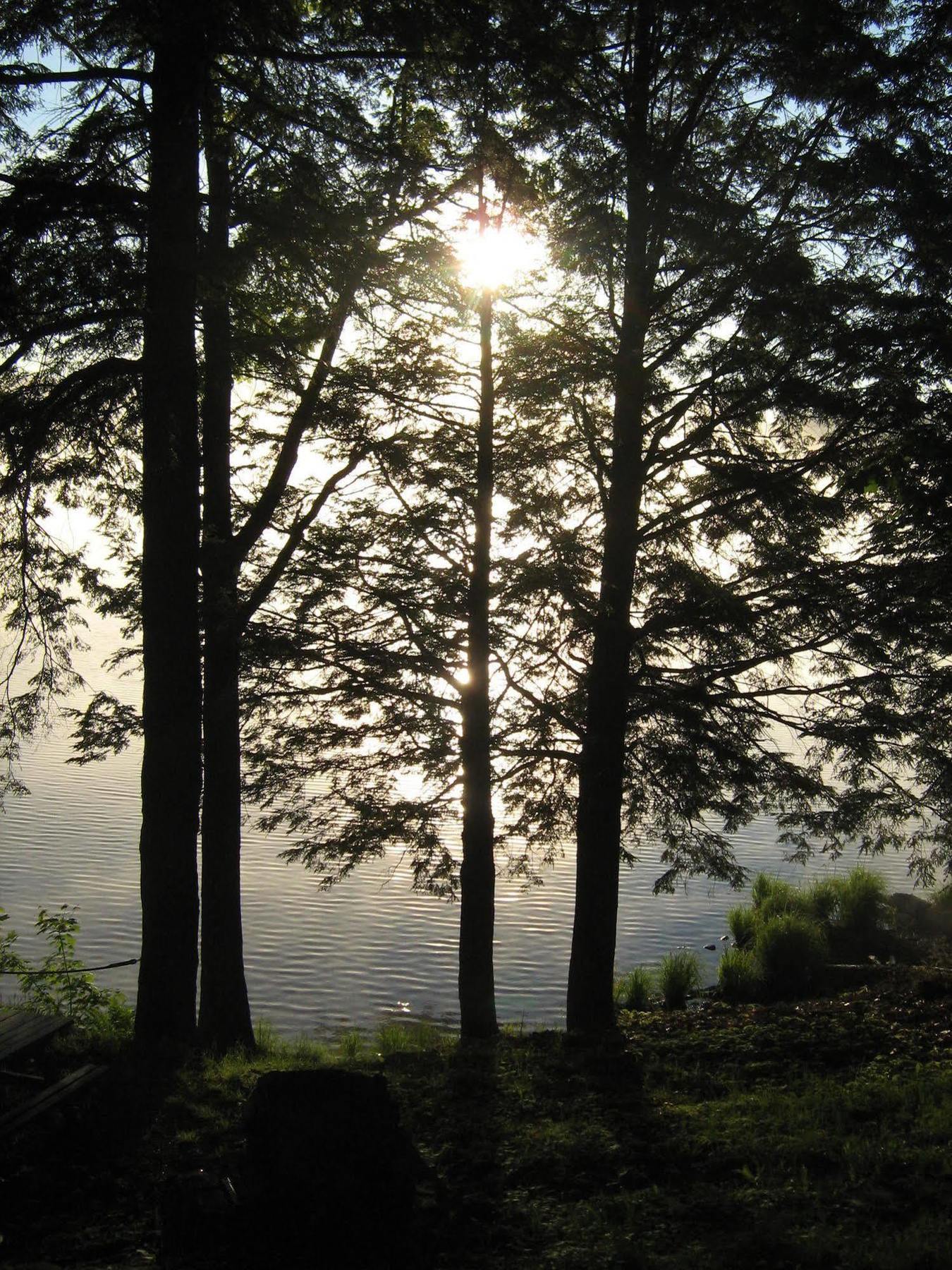 Black Lake Cabins Torrance Exteriör bild